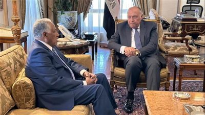 وزير الخارجية يستقبل مبعوث رئيس مجلس السيادة في السودان