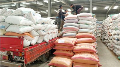 شون البنك الزراعي تستقبل 277 ألف طن قمح خلال الشهر الأول لموسم التوريد 