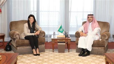 «المشاط» تبحث مع مسئولى مؤسسات التمويل العربية تعزيز التعاون المشترك