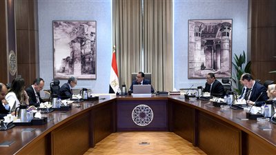 رئيس الوزراء يؤكد أهمية التطوير المستمر لقطاع الكهرباء والطاقة الجديدة