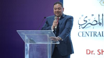 «المركزي» يؤكد قدرة البنوك على التصدى للهجمات السييبرانية