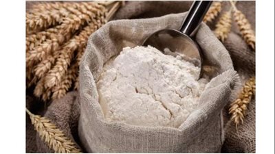 «غرفة الحبوب»: انخفاض جديد في سعر الدقيق استخراج 72% بالأسواق