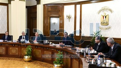 رئيس الوزراء يناقش إجراءات دعم وتحفيز صناعة الدواء