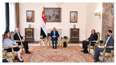 السيسي يؤكد أهمية التعامل مع ظاهرة اللاجئين وكافة أشكال النزوح