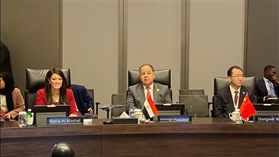 وزير المالية: نتطلع لمساندة الجهود المصرية في تحقيق التنمية المستدامة