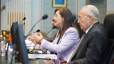 التخطيط: زيادة استثمارات برامج التنمية المحلية إلى 24.5 مليار جنيه في 2023-2024