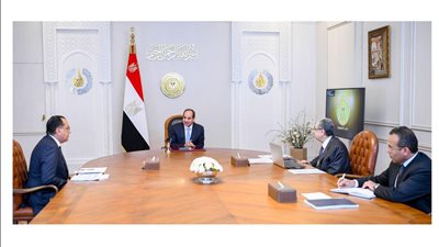 السيسي يوجه بمواصلة تطوير قطاع الكهرباء و الارتقاء بجودة الخدمة