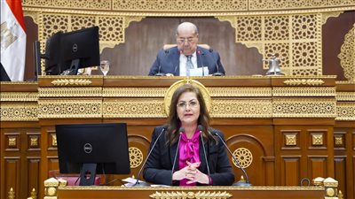 «الشيوخ» يوافق نهائيًا على مشروع قانون خطة التنمية الاقتصادية 2023-2024