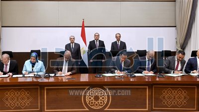 توقيع عقود تحويل أماكن شركات الاتصالات في مصر للعمل بالطاقة النظيفة