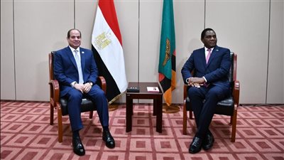 بالفيديو.. السيسي يؤكد ضرورة تعزيز التكامل الاقتصادي ورفاهية الشعوب الإفريقية