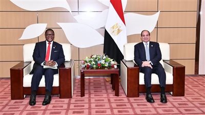 السيسى يؤكد حرص مصر على تعزيز التعاون مع مالاوى بمختلف المجالات