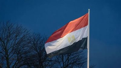 مسؤول روسي: مصر تقدمت بطلب للانضمام إلى مجموعة «بريكس»