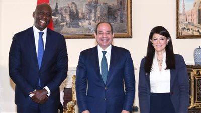 استثمارات مؤسسة التمويل الدولية في مصر تسجل 7 مليارات دولار