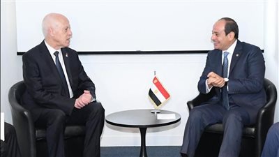 السيسي يؤكد دعم مصر لتونس خلال الظرف الدقيق الراهن الذي تمر به