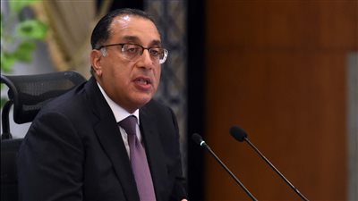 مصر تستهدف 191 مليار دولار ايرادات من مصادر النقد الأجنبي بحلول 2026