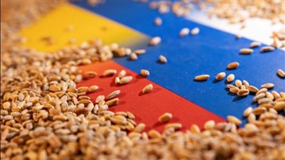 أوكرانيا تخطط لتصدير 50 مليون طن من الحبوب عبر طرق بديلة