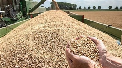 انخفاض واردات مصر من الحبوب 20.4% خلال أول 4 أشهر من 2023