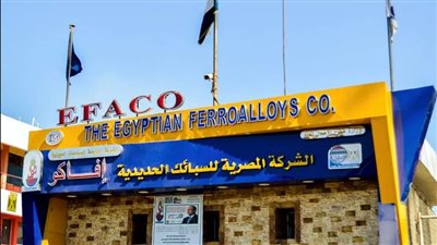 وزير قطاع الأعمال يتابع مستجدات مشروعات تطوير «المصرية للسبائك الحديدية»