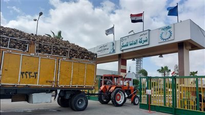 «الدلتا للسكر» تحقق 1.08 مليار جنيه أرباح بالنصف الأول من 2023