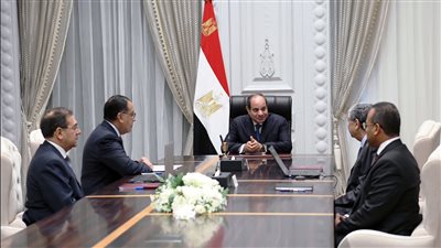 الرئيس السيسي يوجه بتعزيز خطط زيادة مقدار الطاقة المتجددة وتعظيم قيمتها