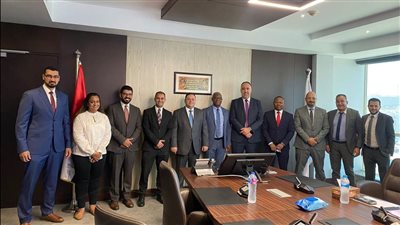 البنك المركزي المصري ينقل تجربته الرائدة في مجال الأمن السيبراني لنظيره الغاني