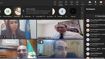 «التخطيط» تعقد ورشة عمل لمناقشة خطوات تنفيذ مبادرة القرية الخضراء ضمن «حياة كريمة»
