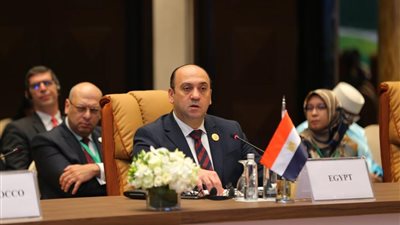 قرار جمهوري بتجديد تكليف عمرو عادل رئيسًا لهيئة الرقابة الإدارية