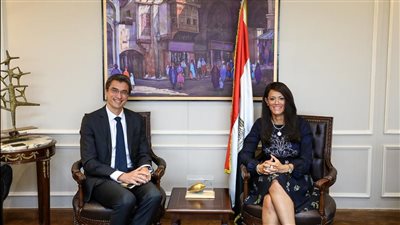 المشاط: تعاون مشترك مع مجموعة البنك الدولي لتقييم إجراءات وحوافز الاستثمار