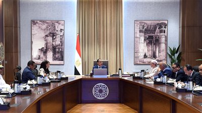 مدبولي يستعرض جهود التخلص الآمن من نواتج تطهير المجاري المائية