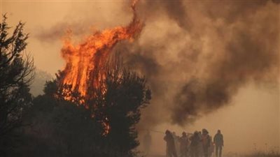 حرائق الغابات تكبد أوروبا خسائر بـ 4.1 مليار يورو