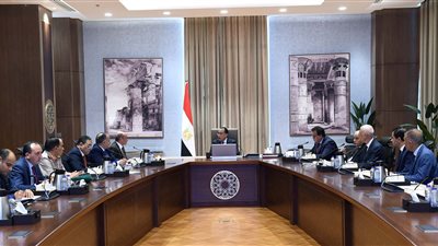 الحكومة: ملتزمون بمعاونة الهيئة الوطنية لتيسير إجراء الانتخابات الرئاسية المقبلة