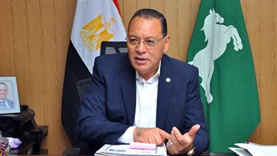 افتتاح 7 مشروعات بقطاع الكهرباء في الشرقية بتكلفة 395 مليون جنيه