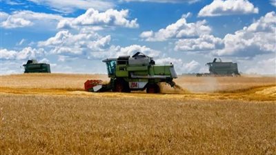 مصر والسعودية تتصدران قائمة مستوردي الحبوب الروسية في يوليو وأغسطس