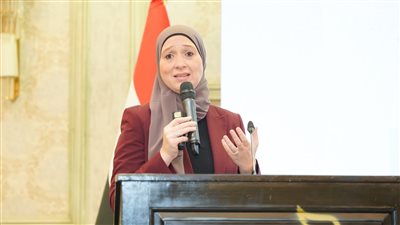 مصر تقدم 3 تقارير محلية طوعية على مستوى المحافظات