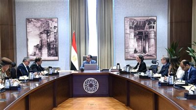 رئيس الوزراء يتابع موقف المشروعات الجديدة بالمنطقة الصناعية الصينية «تيدا-مصر»
