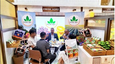 انطلاق معرض متخصص للخضر والفاكهة بهونج كونج بمشاركة 47 شركة مصرية