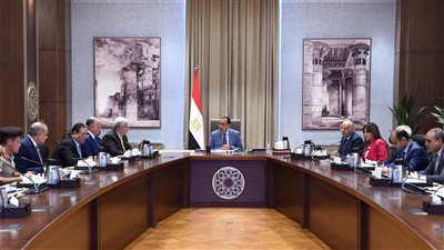 رئيس الوزراء يتابع مقترحات تطوير منطقة جنوب القاهرة التاريخية