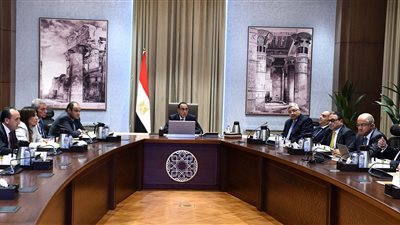 رئيس الوزراء: مستعدون لإعطاء أي حوافز لتصنيع المواد الخام بقطاع الدواء