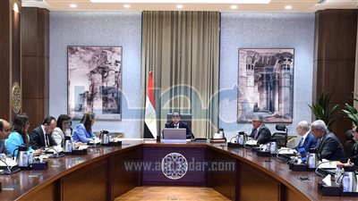 مدبولي يستعرض مشروع إقامة مجمع صناعي لإنتاج مُسطحات الصلب باستثمارات مليار دولار