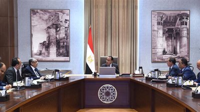 رئيس الوزراء يتابع إجراءات تعظيم دور الطاقة المتجددة خلال الفترة المقبلة