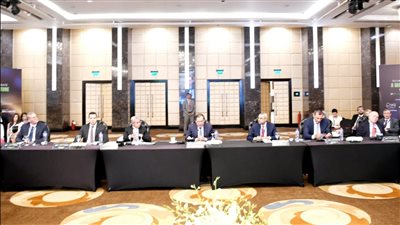 وزير البترول يبحث مع الشركاء العالميين توظيف التكنولوجيا لإزالة الكربون بشرق المتوسط