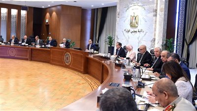 الحكومة: 8 مليارات دولار استثمارات 2066 شركة ذات مساهمة صينية بمصر