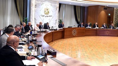 رئيس الوزراء يوجه بتشكيل لجنة تنفيذية لتلقي طلبات مشروعات الهيدروجين الأخضر