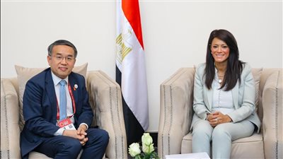 المشاط: حريصون على تحفيز الشراكة مع القطاع الخاص بسوق هونج كونج