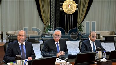 مجلس الوزراء يوافق على إقامة 163 مشروعا متنوعا في 20 محافظة