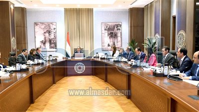 الحكومة تدرس إتاحة تيسيرات ومحفزات جديدة للمصريين بالخارج في عدد من القطاعات