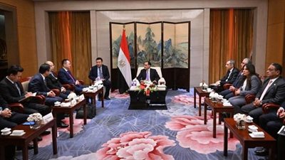 رئيس الوزراء يبحث زيادة استثمارات شركة «تيدا» الصينية في مصر 