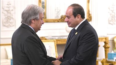 أمين عام الأمم المتحدة أمام قمة القاهرة للسلام: مظالم الشعب الفلسطيني مشروعة