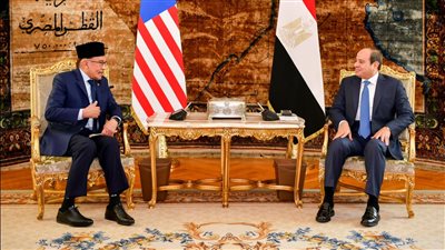 مصر وماليزيا تؤكدان ضرورة إيجاد حل عادل وشامل للقضية الفلسطينية