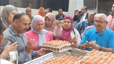 «الزراعة» تطلق 10 منافذ متحركة بـ8 محافظات لبيع بيض المائدة بأسعار مخفضة